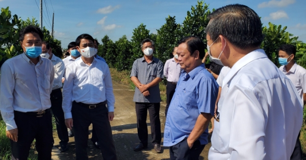 Hậu Giang thực hiện mô hình “Cụm liên kết ngành công – nông nghiệp gắn với phát triển du lịch sinh thái”