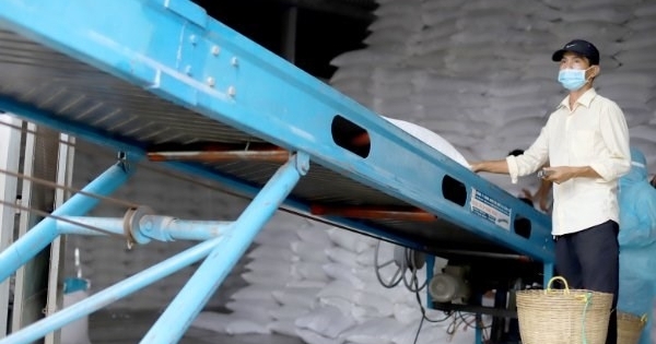 Cần Thơ tiếp nhận trên 3.600 tấn gạo hỗ trợ người dân bị ảnh hưởng do dịch Covid-19