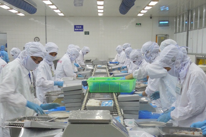 Các doanh nghiệp ở Đà Nẵng nhìn nhận gói hỗ trợ 38.000 tỷ đồng là chính sách rất kịp thời, thiết thực và công bằng đối với người lao động cũng như doanh nghiệp trong giai đoạn khó khăn này (Ảnh: CTV).