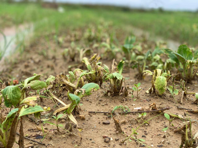 243006211_957563528158831_3215359650190041923_n