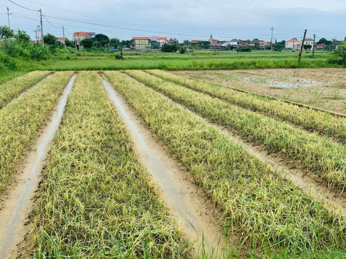 242526968_571938487453848_773118510146061621_n