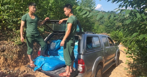 Quảng Ninh: Liên tiếp bắt giữ hàng tấn lòng lợn, nầm lợn không rõ nguồn gốc