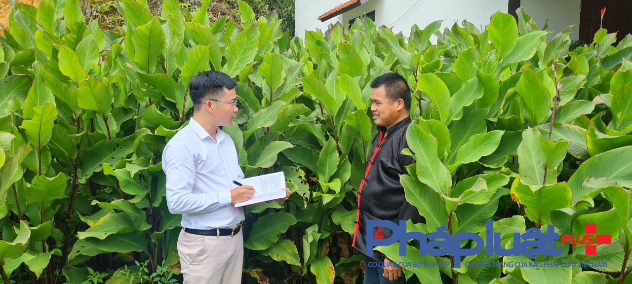 hieuunganh.com_651a4fab7a4e9