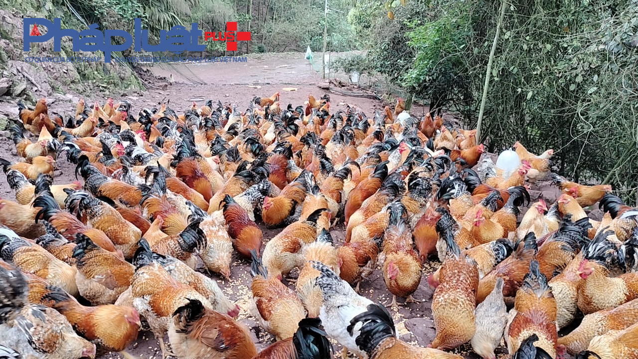 hieuunganh.com_651b7ff83f660