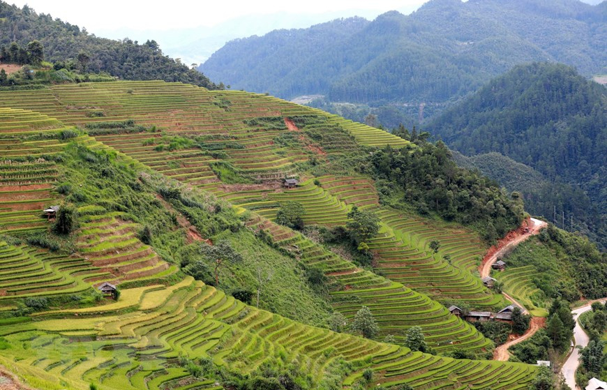 Từ những bàn tay lao động cần cù, Ruộng Bậc thang Mù Cang Chải đã trở thành kỳ quan, là 'Danh thắng Quốc gia' cần được bảo tồn và phát triển. (Ảnh: Nhật Anh/TTXVN)