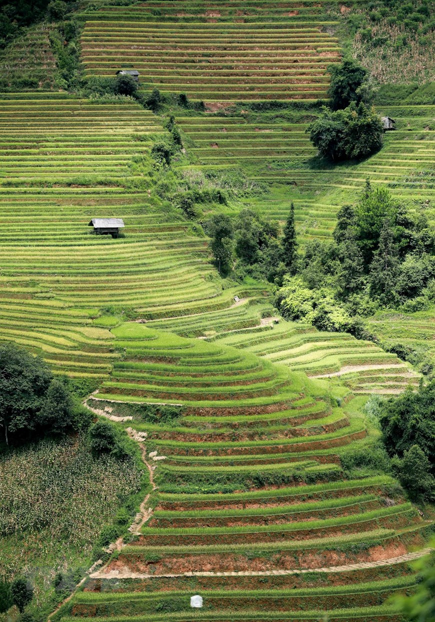 Năm 2018, một tờ báo nổi tiếng của Anh (Telegraph) đã công bố 12 ruộng bậc thang đẹp nhất thế giới. Trong đó, Ruộng Bậc thang Mù Cang Chải là một trong hai đại diện của Việt Nam được lọt vào danh sách này. (Ảnh: Nhật Anh/TTXVN)