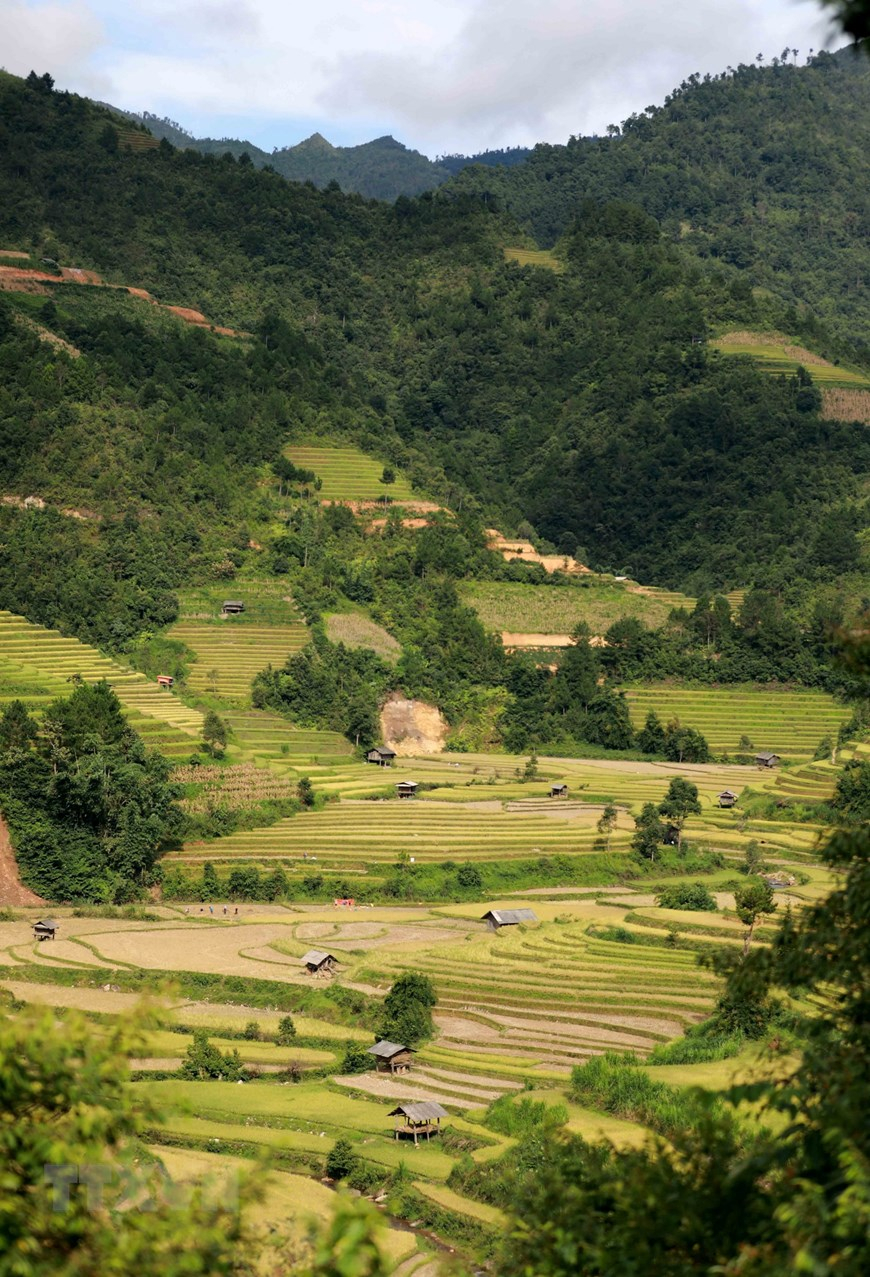 330 ha diện tích ruộng bậc thang của 3 xã La Pán Tẩn, Chế Cu Nha, Dế Xu Phình (Mù Cang Chải) đã được Bộ VH TT&amp;amp;DL xếp hạng là Di tích Quốc gia. (Ảnh: Nhật Anh/TTXVN)