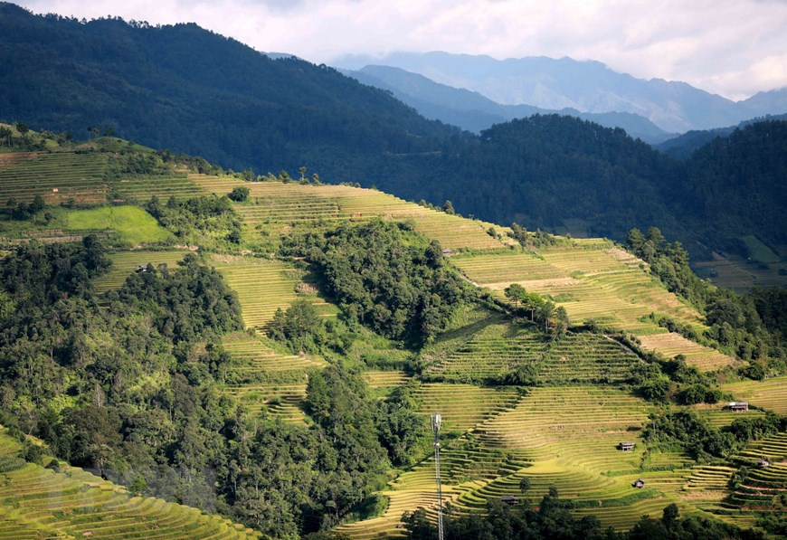 Du khách được tận mắt chứng kiến những cánh đồng ruộng bậc thang ngút ngàn, đẹp nên thơ. (Ảnh: Nhật Anh/TTXVN)