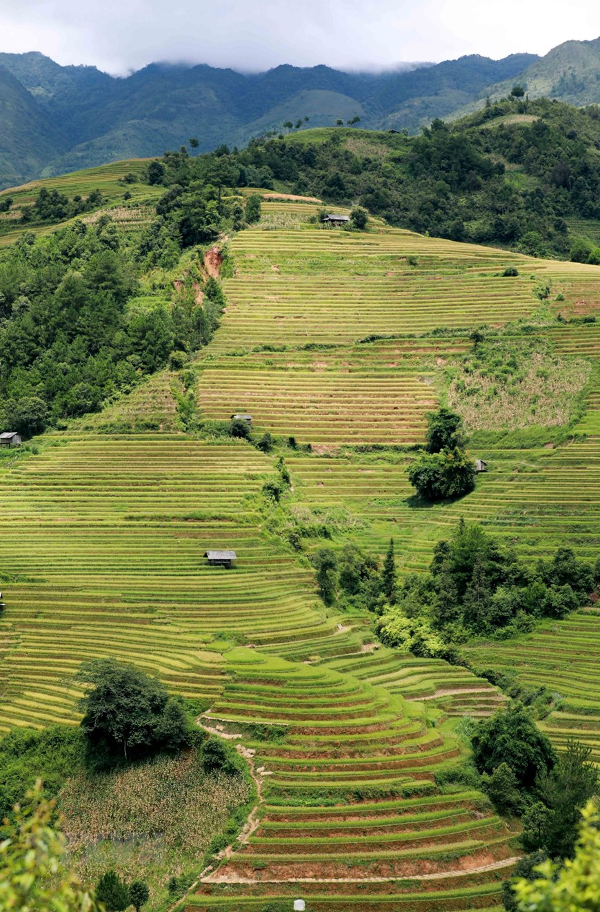 Nằm trên đỉnh Khau Phạ, cao gần 2000m so với mực nước biển, xã La Pán Tẩn sở hữu bức tranh thiên nhiên cực kỳ đẹp với ruộng bậc thang và nét văn hóa bản địa của đồng bào người H’mông. (Ảnh: Nhật Anh/TTXVN)