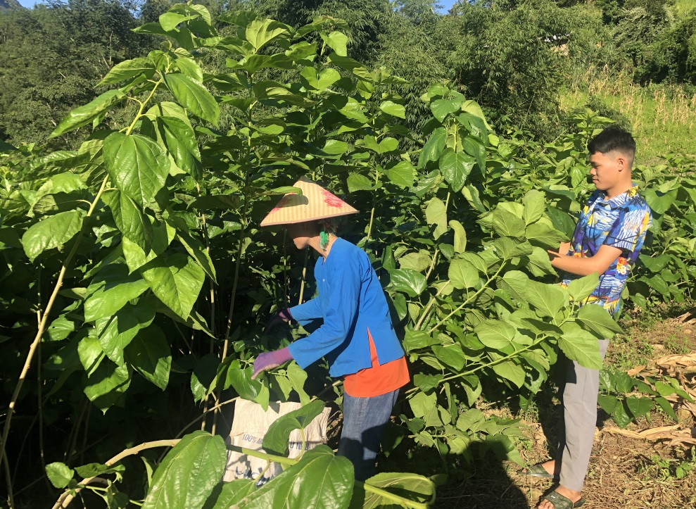 108963_khanhxuan_11220111