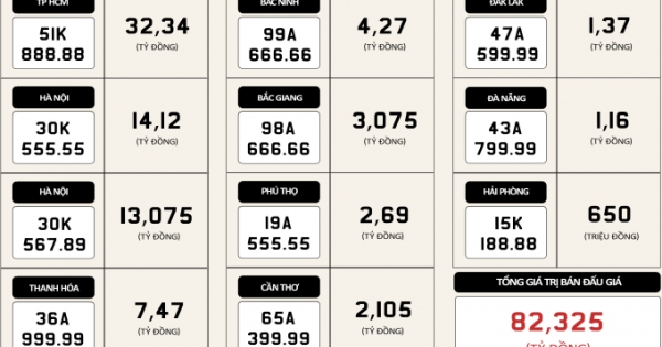 INFOGRAPHICS - 11 biển số xe đấu giá thành công, tổng số tiền trên 82 tỷ đồng