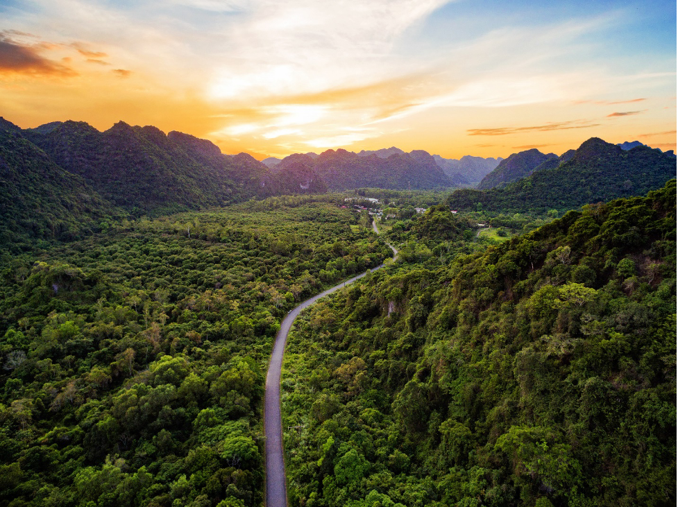 Vịnh Hạ Long - Quần đảo C&aacute;t B&agrave; sở hữu khu rừng tr&ecirc;n biển lớn nhất Việt Nam với diện t&iacute;ch hơn 17.000ha c&ugrave;ng c&aacute;c hệ sinh th&aacute;i đa dạng