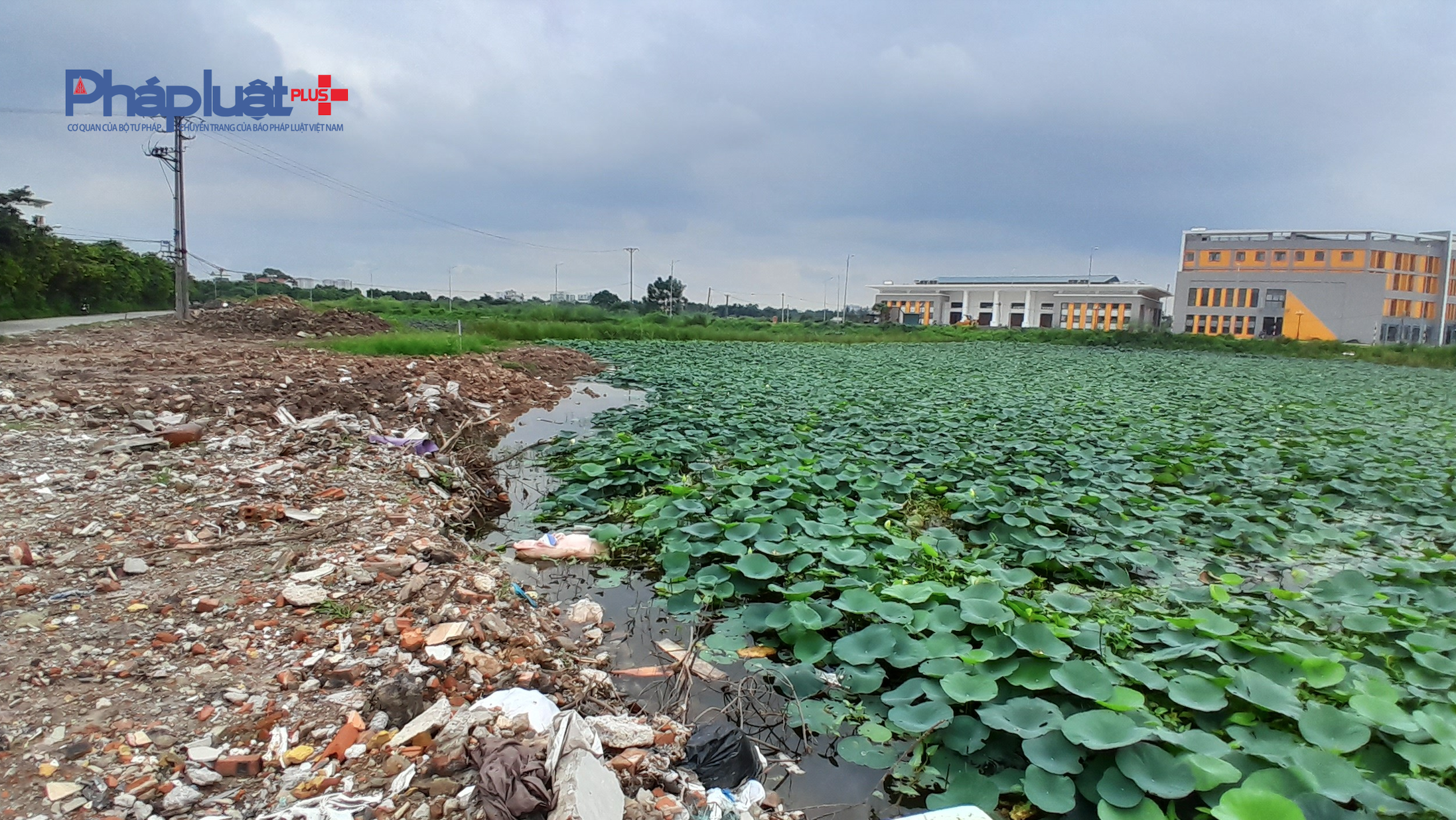 Phần san lấp ra phần ruộng, đầm sen phần đa là phế thải xây dựng.