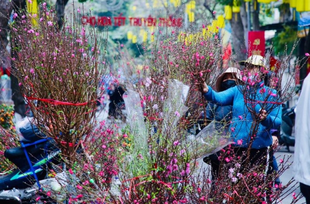 Nghỉ Tết Nguyên đán 2024: Bộ Nội vụ thống nhất phương án nghỉ 7 ngày