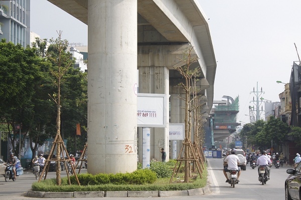Những h&agrave;ng c&acirc;y được trồng dưới tuyến đường sắt tr&ecirc;n cao C&aacute;t Linh - H&agrave; Đ&ocirc;ng đoạn Ho&agrave;ng Cầu - Đống Đa.