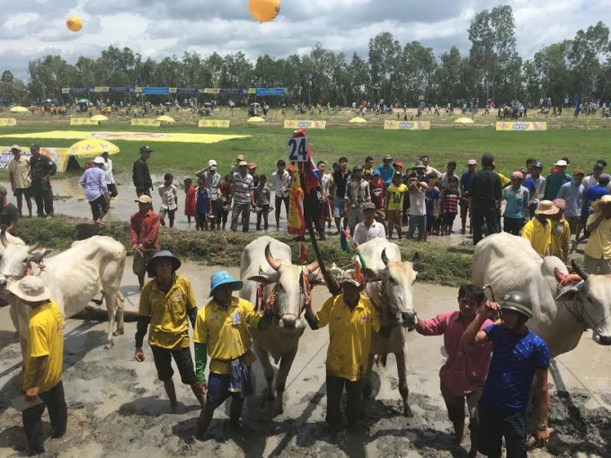 Nước tăng lực Number 1 l&agrave; nh&agrave; t&agrave;i trợ ch&iacute;nh của giải.