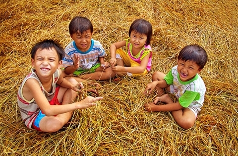 Hương rạ ngày mùa