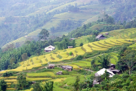 Ho&agrave;ng Su Ph&igrave; l&agrave; một huyện kh&aacute; hẻo l&aacute;nh n&ecirc;n chưa c&oacute; nhiều nh&agrave; nghỉ cũng như c&aacute;c kh&aacute;ch sạn, v&igrave; vậy homestay l&agrave; một lựa chọn hay cho c&aacute;c bạn trẻ th&iacute;ch đi phượt. Ảnh: Ho&agrave;ng Anh.