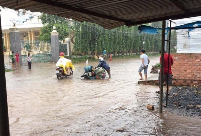 Ch&egrave;o thuyền tr&ecirc;n tỉnh lộ tại B&igrave;nh Dương: T&igrave;m phương &aacute;n