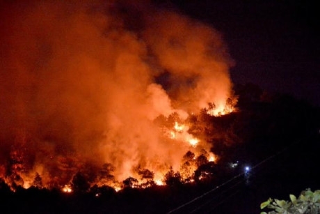 Quảng Ninh: "Bão" lửa cháy ngùn ngụt thiêu rụi 6ha rừng