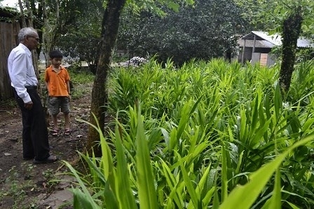 Lão nông biến rác thành tiền