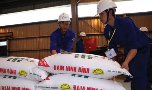 Ph&acirc;n b&oacute;n nhập khẩu tăng khiến Đạm Ninh B&igrave;nh c&ocirc;ng suất 550 ng&agrave;n tấn giảm xuống c&ograve;n 150 ng&agrave;n tấn, vẫn kh&ocirc;ng b&aacute;n được.