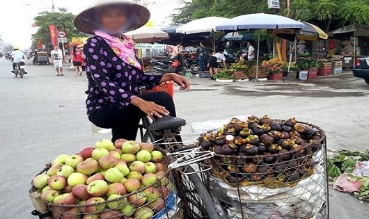 Cẩn trọng với táo Trung Quốc đội lốt táo Quản Bạ - Hà Giang