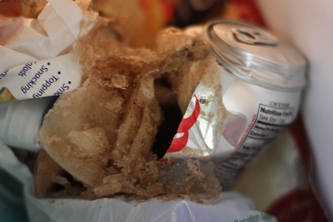 Bảo quản nước ngọt c&oacute; gas trong tủ đ&aacute; sẽ khiến ch&uacute;ng trở th&agrave;nh