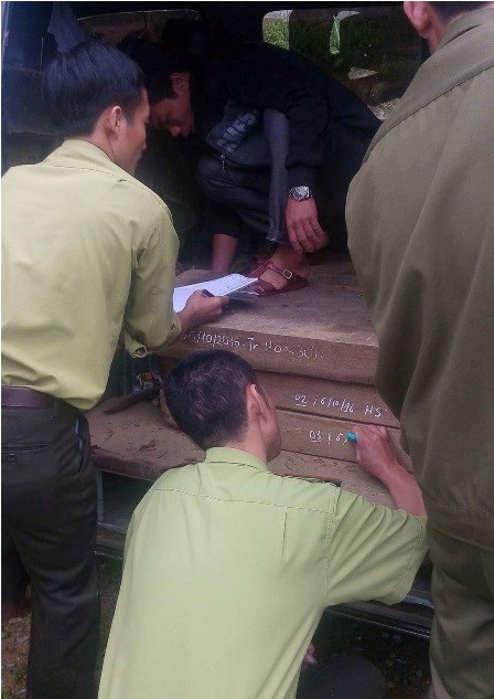 Lực lượng kiểm l&acirc;m tiến h&agrave;nh kiểm tra số gỗ lậu tr&ecirc;n xe (ảnh do kiểm l&acirc;m cung cấp).