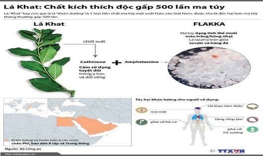 Bổ sung &ldquo;cỏ Mỹ&rdquo;, &ldquo;l&aacute; Khat&rdquo; v&agrave;o danh mục chất ma t&uacute;y