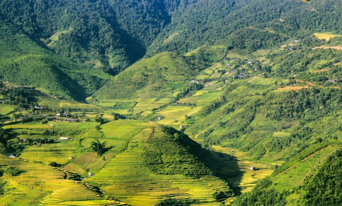 Về T&uacute; Lệ ngắm m&ugrave;a v&agrave;ng khoe sắc