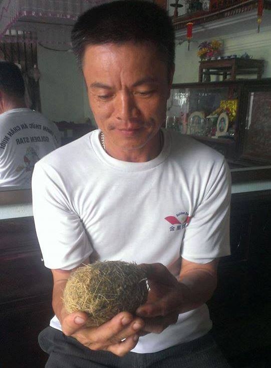 Vật thể lạ được cho l&agrave; c&aacute;t lợn qu&yacute; hiếm tại gia đ&igrave;nh &ocirc;ng Nguyễn Văn Đ&ocirc;ng c&oacute; trọng lượng đến 600g.