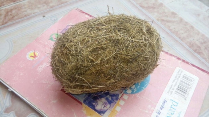 Sau đ&oacute; gia đ&igrave;nh &ocirc;ng Đ&ocirc;ng đ&atilde; phơi kh&ocirc; v&agrave; bảo quản cận trọng, nhưng vẫn chưa b&aacute;n được vật thể được cho l&agrave; c&aacute;t lợn qu&yacute; hiếm n&agrave;y.