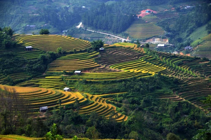 La P&aacute;n Tẩn kh&ocirc;ng hổ danh l&agrave; một trong ba địa phương của huyện M&ugrave; Cang Chải, nơi m&agrave; ruộng bậc thang - c&ocirc;ng tr&igrave;nh kiến tr&uacute;c nghệ thuật mang đầy t&iacute;nh s&aacute;ng tạo của đồng b&agrave;o M&ocirc;ng sinh sống tr&ecirc;n mảnh đất n&agrave;y - đ&atilde; được Bộ Văn h&oacute;a,Thể thao v&agrave; Du lịch xếp hạng Di t&iacute;ch danh thắng cấp Quốc gia từ cuối năm 2007.