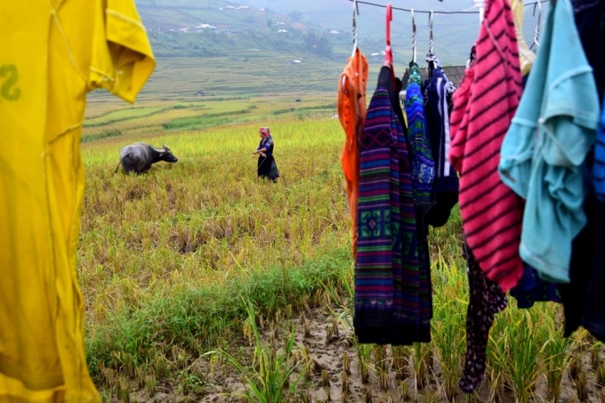 Thu sang, M&ugrave; Cang Chải đẹp đến nao l&ograve;ng