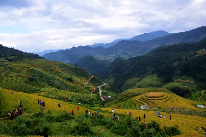 Ruộng l&uacute;a m&acirc;m x&ocirc;i l&agrave; nơi thu h&uacute;t đ&ocirc;ng đảo kh&aacute;ch du lịch tham quan nhất. Đ&acirc;y cũng l&agrave; điểm tạo n&ecirc;n biết bao t&aacute;c phẩm của c&aacute;c nhiếp ảnh gia.