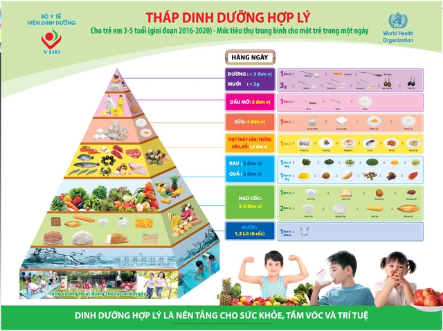 Bữa ăn cần đa dạng, c&acirc;n đối để đảm bảo sức khỏe, tr&aacute;nh suy dinh dưỡng.