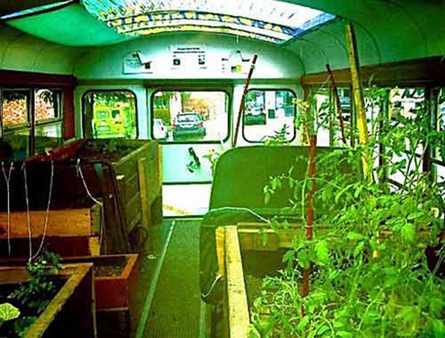 Lạ l&ugrave;ng trồng rau trong&hellip; xe bu&yacute;t