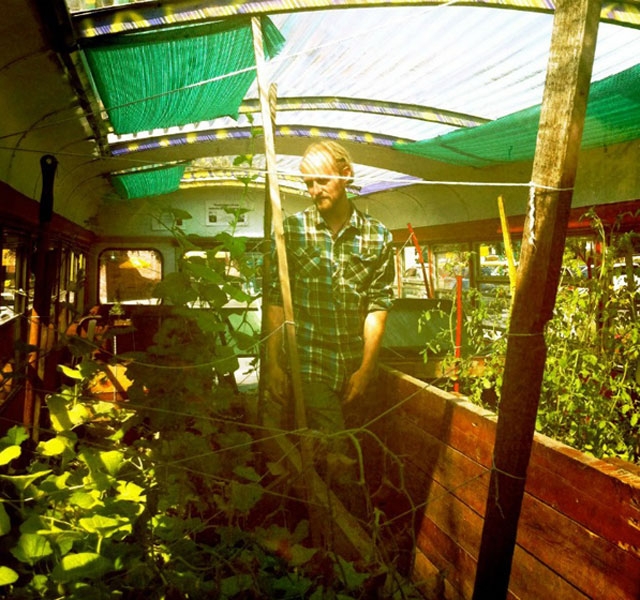 Lạ l&ugrave;ng trồng rau trong&hellip; xe bu&yacute;t