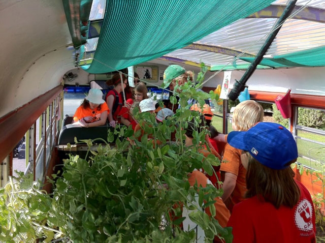 Lạ l&ugrave;ng trồng rau trong&hellip; xe bu&yacute;t