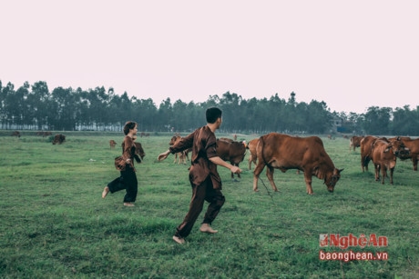 Đ&agrave;n b&ograve; thung thăng gặm cỏ tr&ecirc;n bờ đ&ecirc; trở th&agrave;nh một khung cảnh l&atilde;ng mạn hơn khi ở đ&oacute; c&oacute; t&igrave;nh y&ecirc;u đ&ocirc;i lứa của Th&igrave;n v&agrave; Ti&ecirc;n.