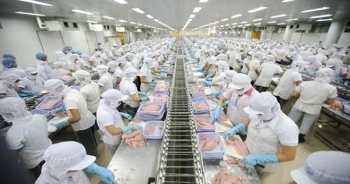 Triển khai thực hiện Hiệp định Tạo thuận lợi thương mại WTO