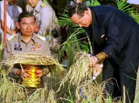 Nh&agrave; vua Bhumibol Adulyadej - tr&aacute;i tim, linh hồn của người d&acirc;n Th&aacute;i