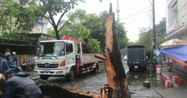 Tỉnh Thừa Thiên – Huế chủ động cắt giảm 60% lưới điện để đảm bảo an toàn