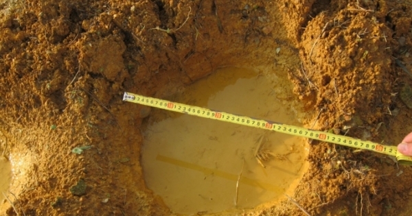 Nghệ An: Voi rừng liên tục xuất hiện phá hoại hoa màu của người dân