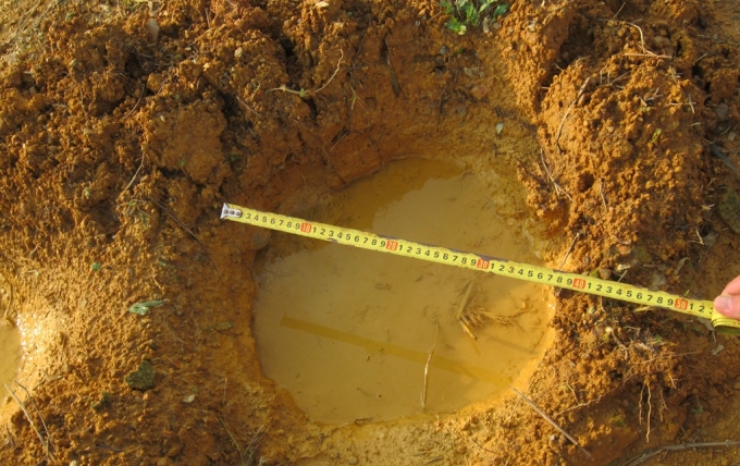 Những dấu ch&acirc;n rất lớn m&agrave; đ&agrave;n voi để lại.