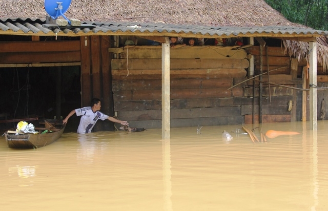Cả nh&agrave; tr&uacute; ngụ tr&ecirc;n chạn, c&ograve;n anh Nguyễn Văn Sỹ (th&ocirc;n Th&aacute;i Thượng, x&atilde; Lộc Y&ecirc;n, Hương Kh&ecirc;) đang b&igrave; b&otilde;m cứu vớt gia s&uacute;c ngập lụt.
