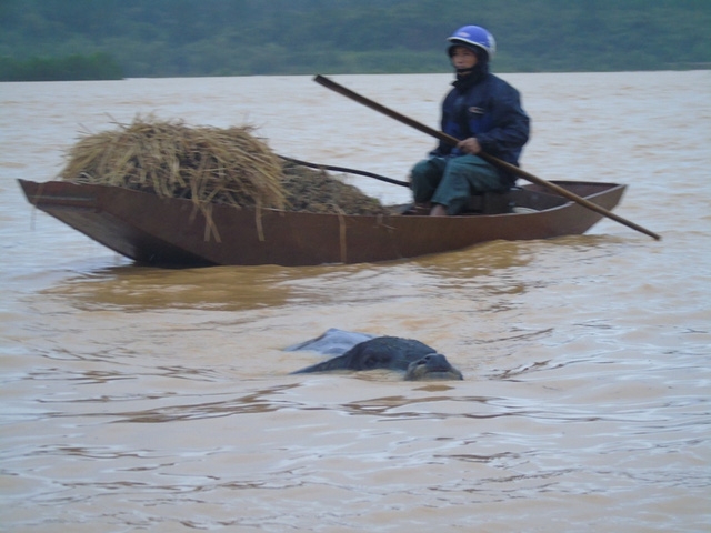 &Aacute;m ảnh lũ tr&agrave;n về Nghệ An, H&agrave; Tĩnh