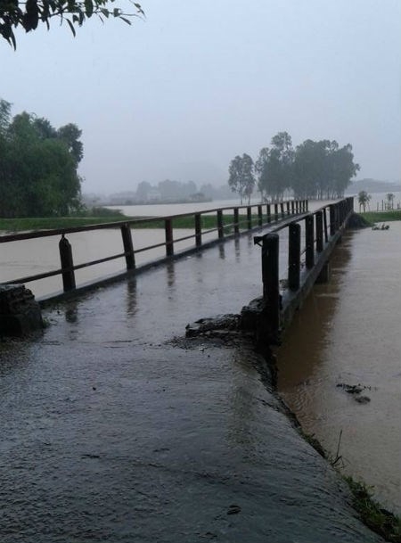 Mực nước s&ocirc;ng Đ&agrave;o (Hưng Đạo, Hưng Nguy&ecirc;n) &nbsp;l&ecirc;n cao. Ảnh nguồn Infonet.