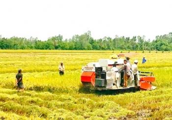 Chính phủ yêu cầu tái cơ cấu ngành nông nghiệp phải gắn với phát triển, mở rộng thị trường